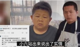 小六爆料村长视频,小六爆料背后的真相与争议