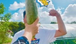 吃瓜网红音乐,网红吃瓜界的音乐狂欢